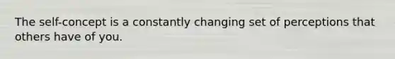The self-concept is a constantly changing set of perceptions that others have of you.