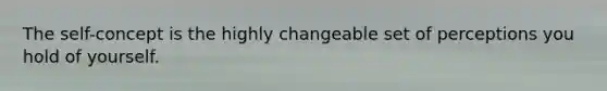 The self-concept is the highly changeable set of perceptions you hold of yourself.