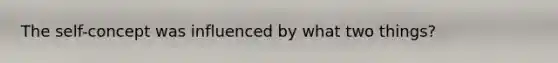 The self-concept was influenced by what two things?