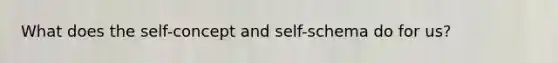 What does the self-concept and self-schema do for us?