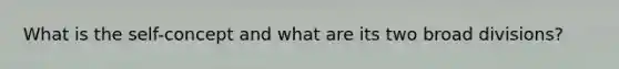 What is the self-concept and what are its two broad divisions?