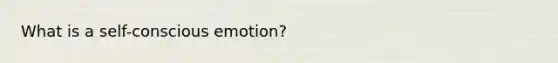 What is a self-conscious emotion?