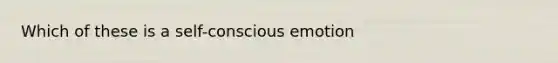 Which of these is a self-conscious emotion