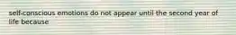 self-conscious emotions do not appear until the second year of life because