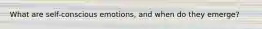 What are self-conscious emotions, and when do they emerge?
