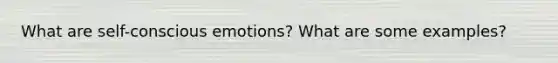 What are self-conscious emotions? What are some examples?