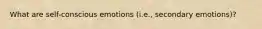 What are self-conscious emotions (i.e., secondary emotions)?