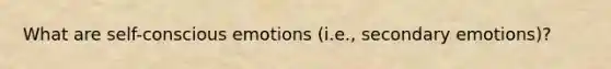 What are self-conscious emotions (i.e., secondary emotions)?