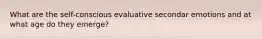 What are the self-conscious evaluative secondar emotions and at what age do they emerge?