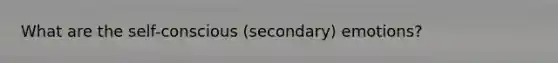 What are the self-conscious (secondary) emotions?