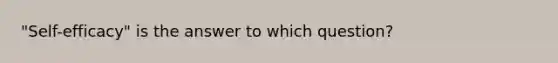 "Self-efficacy" is the answer to which question?