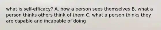 what is self-efficacy? A. how a person sees themselves B. what a person thinks others think of them C. what a person thinks they are capable and incapable of doing