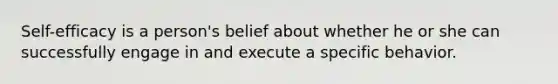 Self-efficacy is a person's belief about whether he or she can successfully engage in and execute a specific behavior.