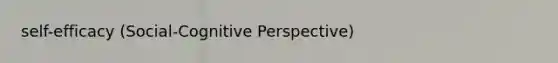 self-efficacy (Social-Cognitive Perspective)