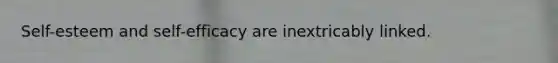 Self-esteem and self-efficacy are inextricably linked.