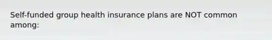 Self-funded group health insurance plans are NOT common among: