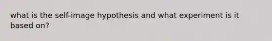 what is the self-image hypothesis and what experiment is it based on?