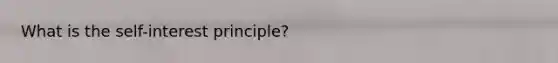 What is the self-interest principle?