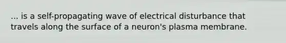 ... is a self-propagating wave of electrical disturbance that travels along the surface of a neuron's plasma membrane.