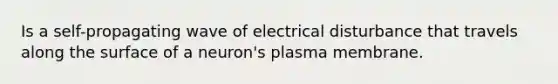 Is a self-propagating wave of electrical disturbance that travels along the surface of a neuron's plasma membrane.