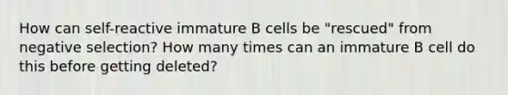 How can self-reactive immature B cells be "rescued" from negative selection? How many times can an immature B cell do this before getting deleted?