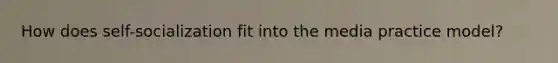 How does self-socialization fit into the media practice model?