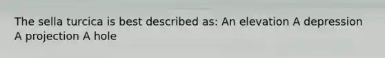 The sella turcica is best described as: An elevation A depression A projection A hole