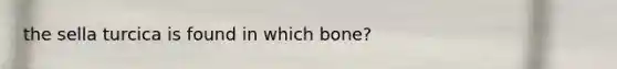 the sella turcica is found in which bone?