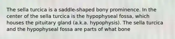 The sella turcica is a saddle-shaped bony prominence. In the center of the sella turcica is the hypophyseal fossa, which houses the pituitary gland (a.k.a. hypophysis). The sella turcica and the hypophyseal fossa are parts of what bone