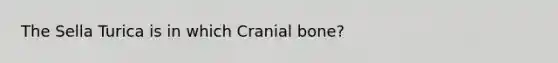 The Sella Turica is in which Cranial bone?