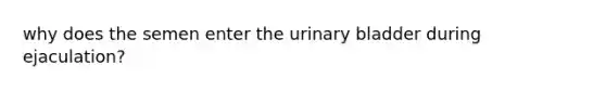 why does the semen enter the urinary bladder during ejaculation?