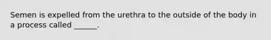 Semen is expelled from the urethra to the outside of the body in a process called ______.