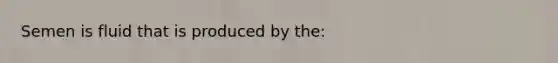 Semen is fluid that is produced by​ the: