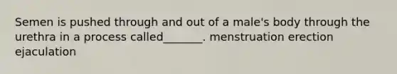 Semen is pushed through and out of a male's body through the urethra in a process called_______. menstruation erection ejaculation