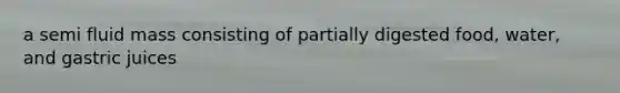 a semi fluid mass consisting of partially digested food, water, and gastric juices