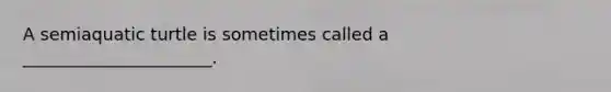 A semiaquatic turtle is sometimes called a ______________________.