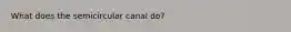 What does the semicircular canal do?