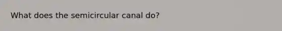 What does the semicircular canal do?