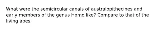 What were the semicircular canals of australopithecines and early members of the genus Homo like? Compare to that of the living apes.