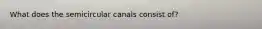What does the semicircular canals consist of?