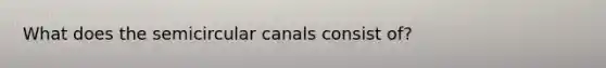 What does the semicircular canals consist of?