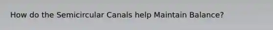 How do the Semicircular Canals help Maintain Balance?