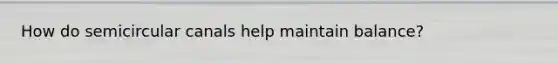 How do semicircular canals help maintain balance?