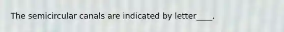 The semicircular canals are indicated by letter____.