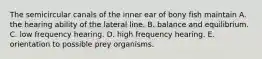 The semicircular canals of the inner ear of bony fish maintain A. the hearing ability of the lateral line. B. balance and equilibrium. C. low frequency hearing. D. high frequency hearing. E. orientation to possible prey organisms.