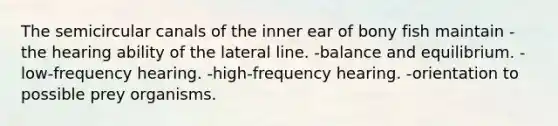 The semicircular canals of the inner ear of bony fish maintain -the hearing ability of the lateral line. -balance and equilibrium. -low-frequency hearing. -high-frequency hearing. -orientation to possible prey organisms.