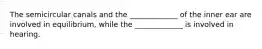 The semicircular canals and the _____________ of the inner ear are involved in equilibrium, while the _____________ is involved in hearing.
