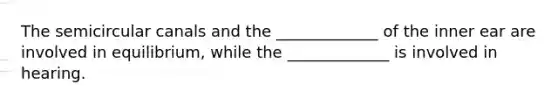 The semicircular canals and the _____________ of the inner ear are involved in equilibrium, while the _____________ is involved in hearing.