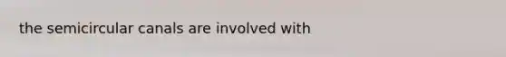 the semicircular canals are involved with