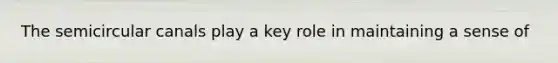 The semicircular canals play a key role in maintaining a sense of